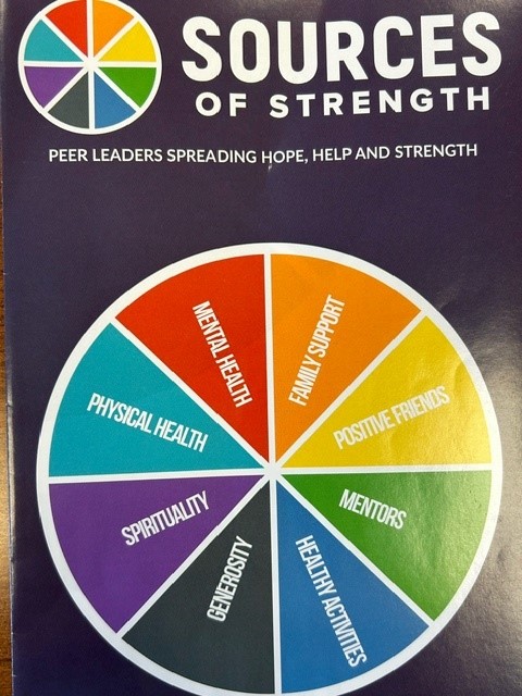 Sources of Strength values chart